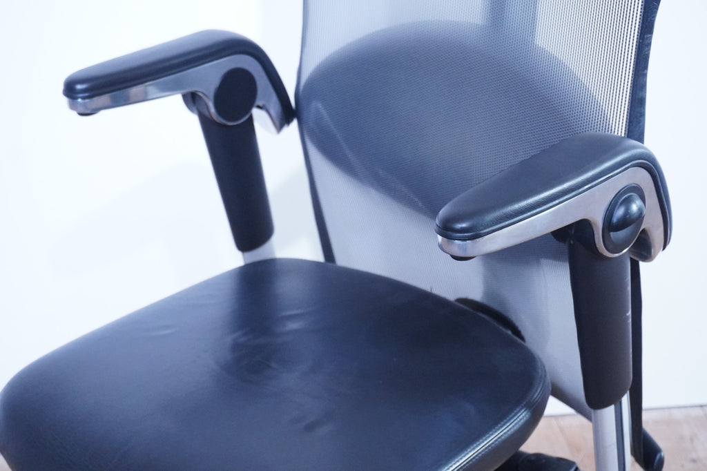 HAG H09 Executive Inspiration 9220 Leder Elmosoft