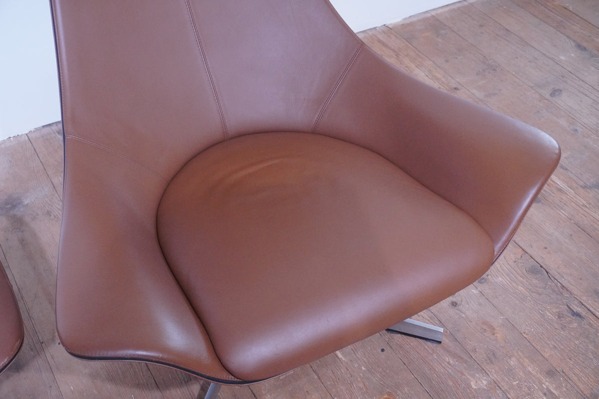 Matteo Grassi Lounge Chair Leder cognac